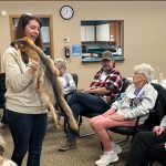 Northwoods Taxidermy