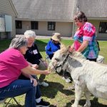 Pet Therapy Donkeys