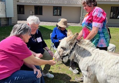 Pet Therapy Donkeys